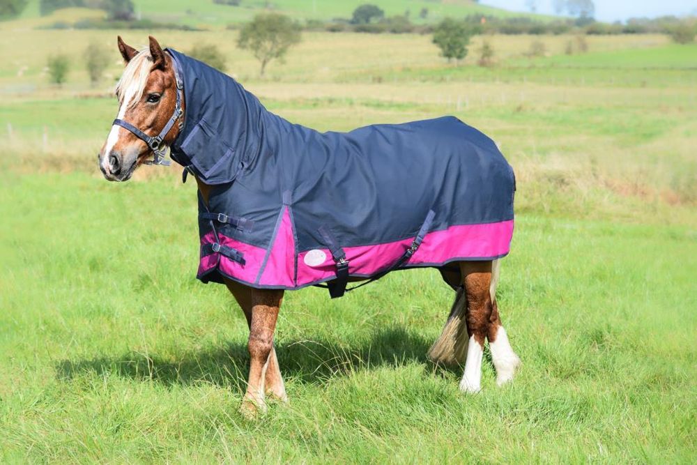 Lite Turnout 600 Denier Horse Rug Waterproof Combo Neck Navy/Raspberry 4'6 -7'3