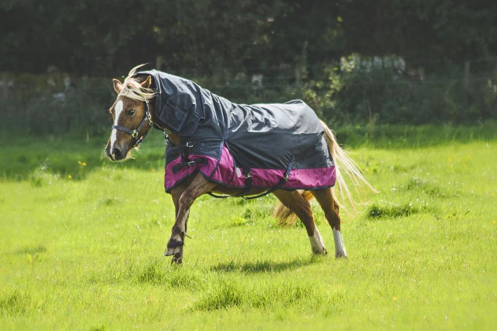 Lite Turnout 600 Denier Horse Rug Waterproof Combo Neck Navy/Raspberry 4'6 -7'3