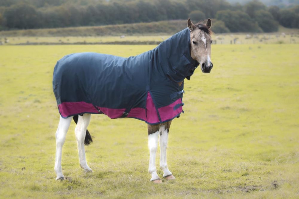 Lite Turnout 600 Denier Horse Rug Waterproof Combo Neck Navy/Raspberry 4'6 -7'3