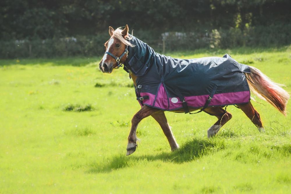Lite Turnout 600 Denier Horse Rug Waterproof Combo Neck Navy/Raspberry 4'6 -7'3