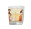 Durance Provence France Orange Cinnamon Perfumed Natural Candle 75g